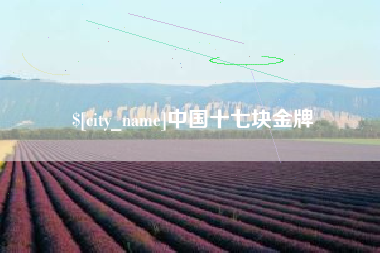 滨州中国十七块金牌