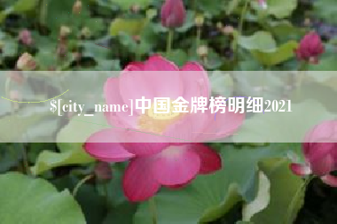 滨州中国金牌榜明细2021