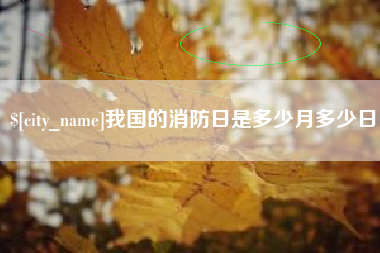 滨州我国的消防日是多少月多少日
