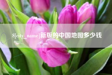 滨州新版的中国地图多少钱
