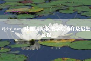 滨州中国消防救援学院简介及招生章程