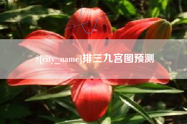 滨州排三九宫图预测