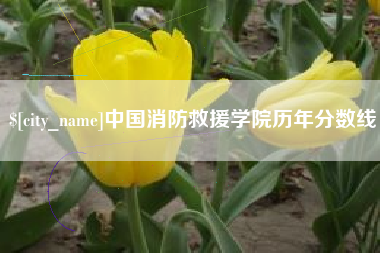 滨州中国消防救援学院历年分数线