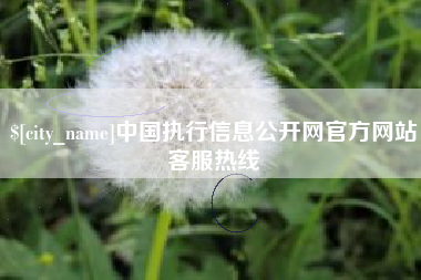 滨州中国执行信息公开网官方网站客服热线