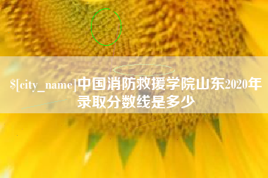 滨州中国消防救援学院山东2020年录取分数线是多少