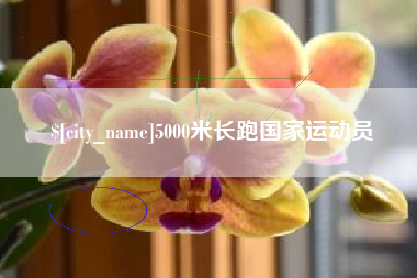 滨州5000米长跑国家运动员