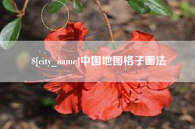 滨州中国地图格子画法