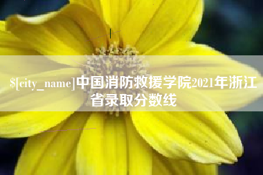 滨州中国消防救援学院2021年浙江省录取分数线