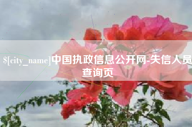 滨州中国执政信息公开网-失信人员查询页