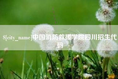 滨州中国消防救援学院四川招生代码