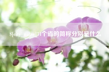 滨州34个省的简称分别是什么