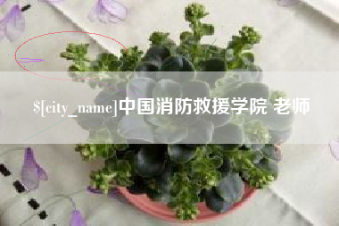 滨州中国消防救援学院 老师