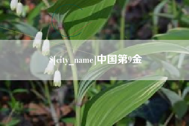 滨州中国第9金