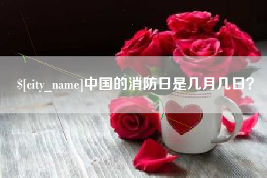 滨州中国的消防日是几月几日？