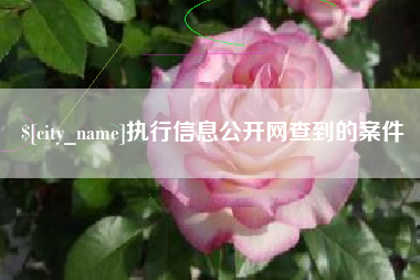 滨州执行信息公开网查到的案件