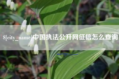 滨州中国执法公开网征信怎么查询