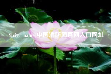 滨州中国消防网官网入口网址