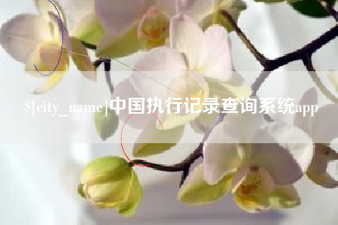 滨州中国执行记录查询系统app