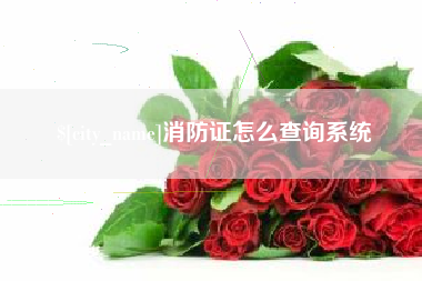 滨州消防证怎么查询系统