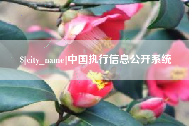 滨州中国执行信息公开系统