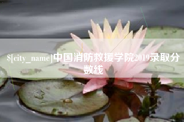 滨州中国消防救援学院2019录取分数线