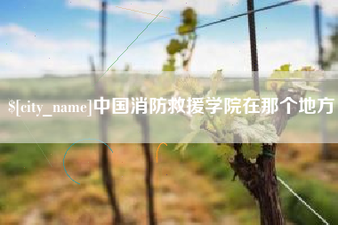 滨州中国消防救援学院在那个地方