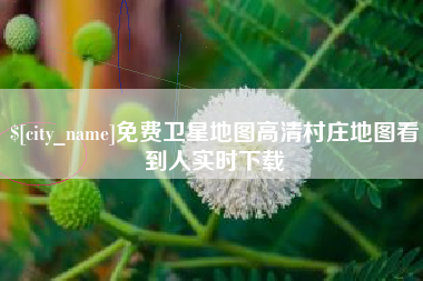 滨州免费卫星地图高清村庄地图看到人实时下载