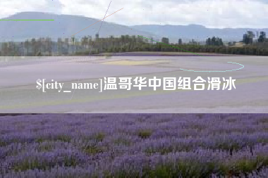 滨州温哥华中国组合滑冰