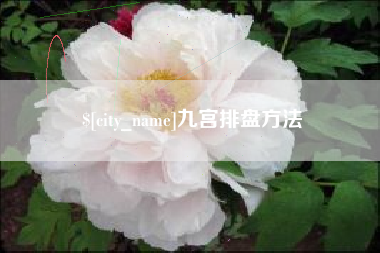滨州九宫排盘方法