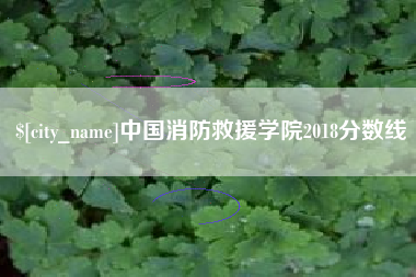 滨州中国消防救援学院2018分数线