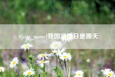 滨州我国消防日是哪天