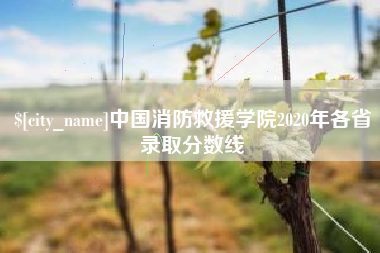 滨州中国消防救援学院2020年各省录取分数线