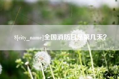 滨州全国消防日是第几天？