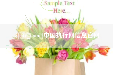 滨州中国执行网信息官网