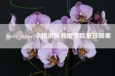 滨州中国消防救援学院是在哪里