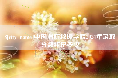 滨州中国消防救援学院2024年录取分数线是多少