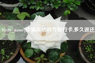 滨州诈骗冻结对方银行卡,多久返还