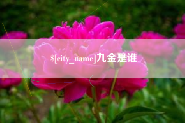 滨州九金是谁