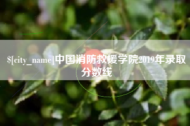 滨州中国消防救援学院2019年录取分数线