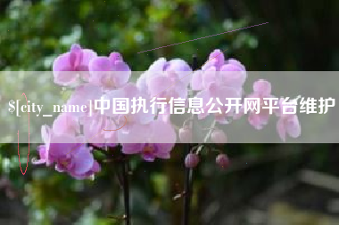 滨州中国执行信息公开网平台维护