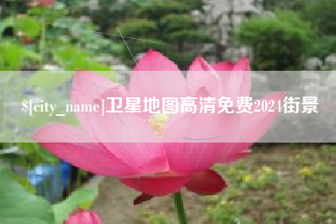 滨州卫星地图高清免费2024街景