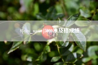 滨州5000米及格成绩