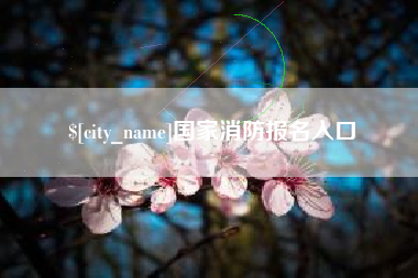 滨州国家消防报名入口
