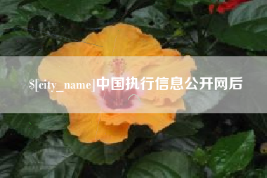 滨州中国执行信息公开网后