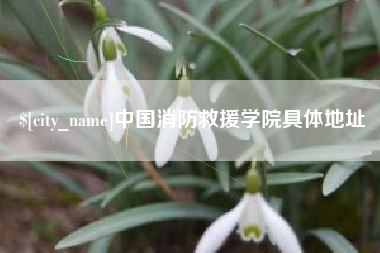 滨州中国消防救援学院具体地址