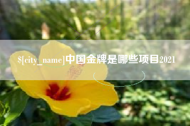 滨州中国金牌是哪些项目2021