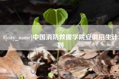 滨州中国消防救援学院安徽招生计划
