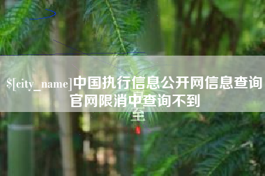 滨州中国执行信息公开网信息查询官网限消中查询不到