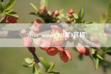 滨州2021年9宫格
