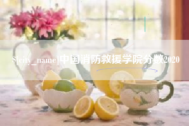 滨州中国消防救援学院分数2020
